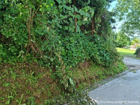 Stanje na cestni infarstrukturi (5)